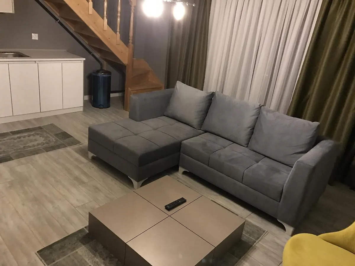 Centrum Rental House Ankara 2*,  Turkey